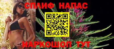 спиды Обь