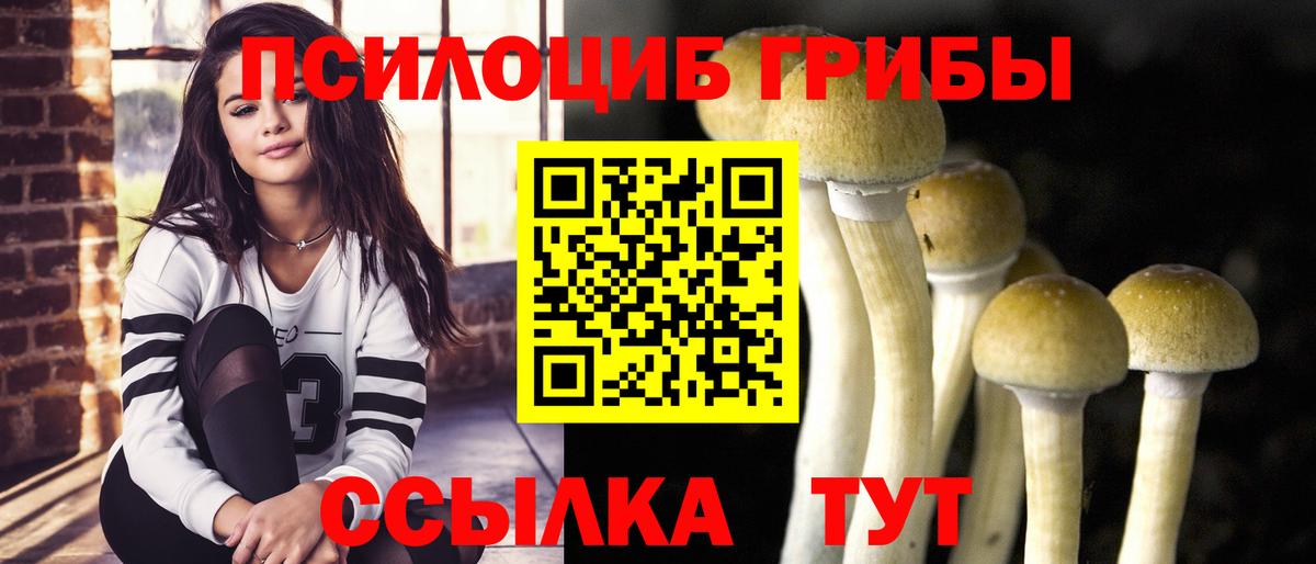 Псилоцибиновые грибы GOLDEN TEACHER  Вход с VPN  Россошь 